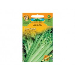 Celer řapíkatý MALACHIT