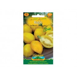 Rajče tyčkové CITRINA citronové