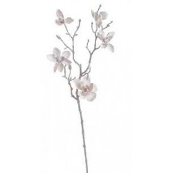 Zasněžená magnolie - béžová, 65cm