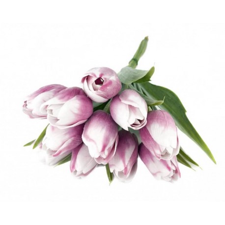 Tulipán s listem bílo-fialový 1ks umělá květina