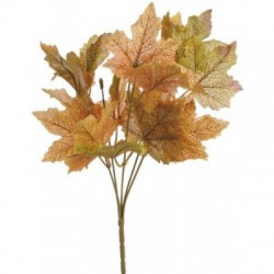 Listy javoru - trs okrovozelený